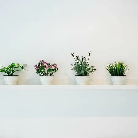 Your Second In Chiado Appartement Lissabon